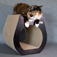 Drapak CAT Black • premium dla kota • ochrona mebli • komfort i zabawa