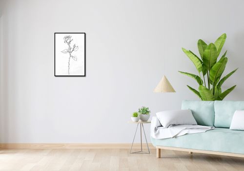Plakat 42x59,4cm Kontur Róży na Arena.pl