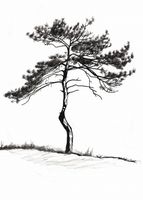 Plakat 25x35cm Samotna Sosna