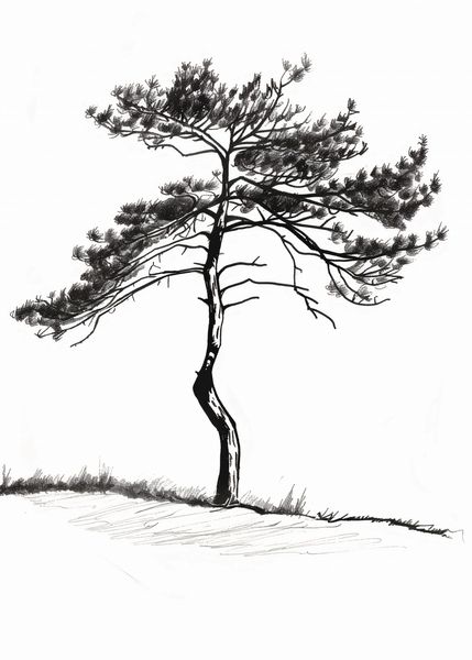 Plakat 25x35cm Samotna Sosna zdjęcie 1