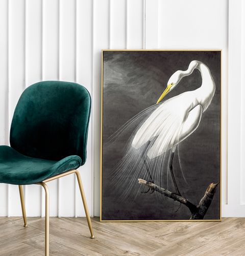 Plakat biały ptak alba 70x100 cm na Arena.pl