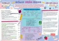 product-compare-60950998