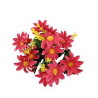 Bukiecik stokrotka x7 malinowy