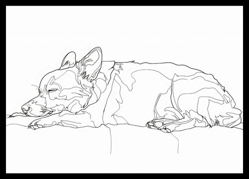 Plakat 42x29,7cm Śpiący Psiak na Arena.pl