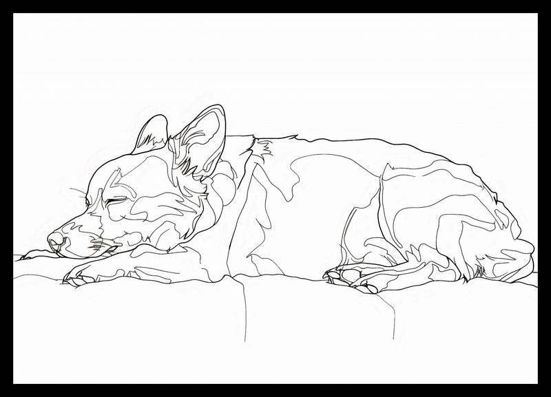 Plakat 42x29,7cm Śpiący Psiak zdjęcie 2