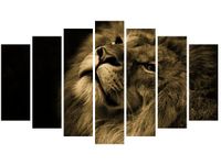 product-compare-58695062