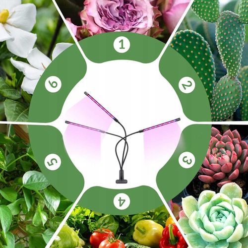 4x LAMPA PANEL DO WZROSTU UPRAWY ROŚLIN FULL SPECTRUM TIMER USB 36W 80 LED na Arena.pl