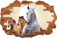 Naklejka efekt 3D dziura w ścianie koty psy konie