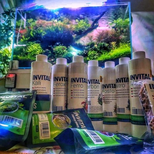 INVITAL Macro 500 ml na Arena.pl