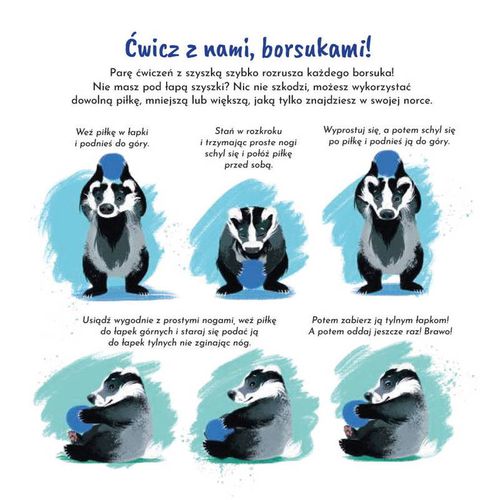 Mała Tarmosia. Czy borsuki się bawią? na Arena.pl