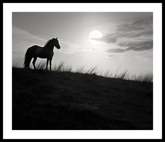 Plakat 60x50cm Księżycowa Straż zdjęcie 3