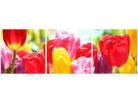 product-compare-58646656