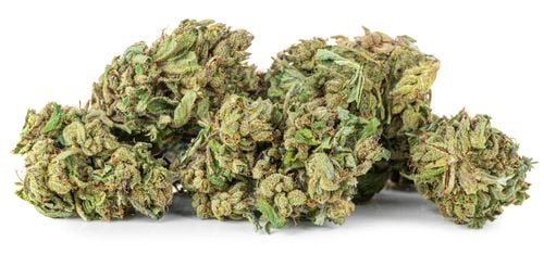 Susz konopny Amnesia Haze CBD PREMIUM 2g na Arena.pl