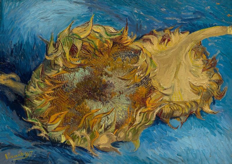 Sunflowers, Vincent van Gogh - plakat 60x40 cm zdjęcie 1