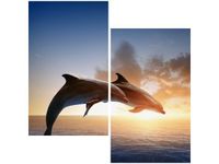 60X60CM DELFINY DWU OBRAZ ŚCIAN