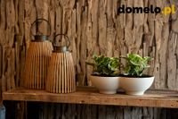 DONICZKA PLANET 440 A1