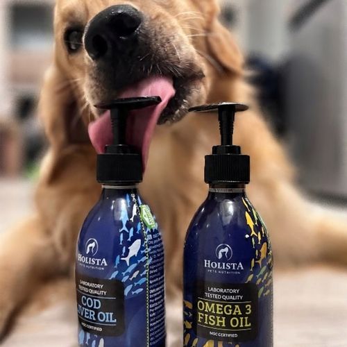 HOLISTA Olej OMEGA 3 Fish Oil dla Psa KOTA KWASY OMEGA EPA DHA BARF 100ml na Arena.pl