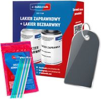lakier zaprawka + bezbarwny + patyczki zaprawkowe opel 163 lichtsilber