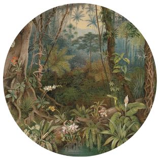 WallArt Okrągła fototapeta In the Jungle, 142,5 cm