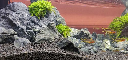 ŻWIREK CZARNY 1-3 mm PODŁOŻE DO AKWARIUM 25kg na Arena.pl