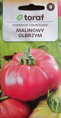 Pomidor gruntowy MALINOWY OLBRZYM zdjęcie 1