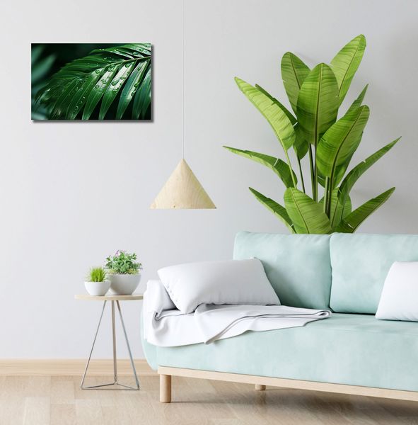 Obraz 50x30cm Żywa Łagodność zdjęcie 2