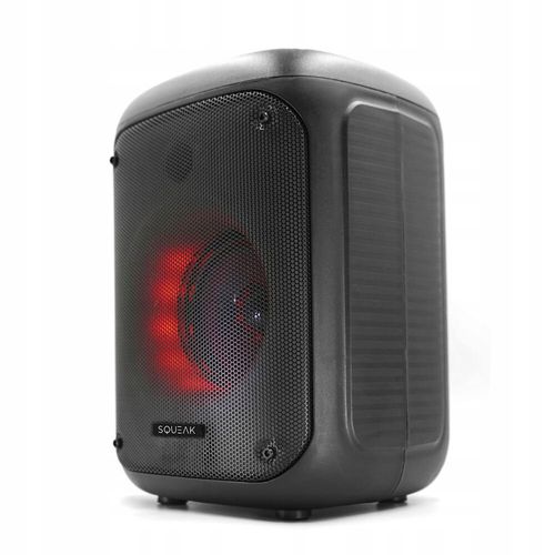 Głośnik karaoke SQUEAK Beatflow Bluetooth 5.0 + EDR na Arena.pl