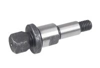 Wałek silnika Cedrus wertykulator CEDWE38 300615