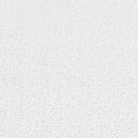 TAPETA DO MALOWANIA WINYLOWA NA FLIZELINIE 15MB