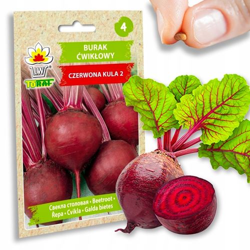 Nasiona warzyw marchew ogórek pietruszka burak NA DOBRY START UDANE PLONY na Arena.pl