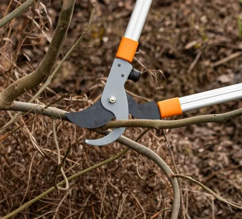 Sekator do Gałęzi Teleskopowy Ogrodowy Bradas na Arena.pl