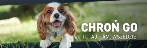 frontline spot on dla psa 3x0,67ml na Arena.pl