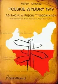 Polskie wybory 1919 zdjęcie 1