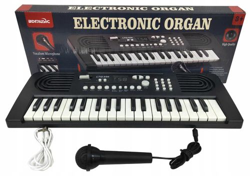 Duże organki, keyboard z mikrofonem na Arena.pl