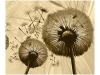 60CM 50CM OBRAZ ŚCIENNY DMUCHAWCE KREMOWYM TLE DRUK PŁÓTNO