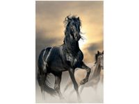 100 70CM OBRAZ PŁÓTNO OGIER PŁÓTNO RAMA