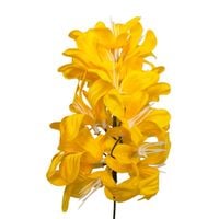 Hiacynt wyrobowy żółty 6 szt