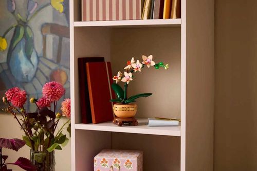 10343 - lego the botanical collection - mała orchidea na Arena.pl