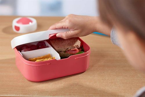 Lunchbox Campus niebieski 107440014300 na Arena.pl