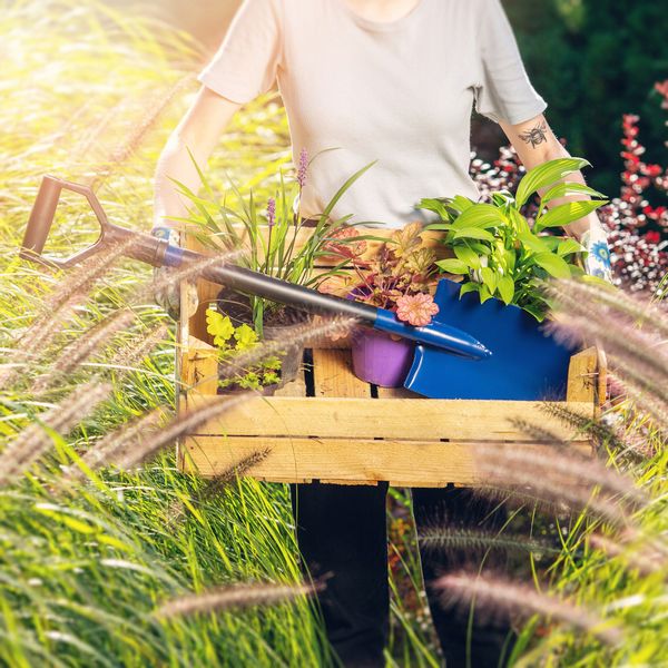 Saperka Łopata Do Śniegu Szufla Samochodowa zdjęcie 5
