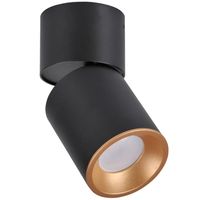 Kierunkowa lampa sufitowa Nixa do przedpokoju czarna złota