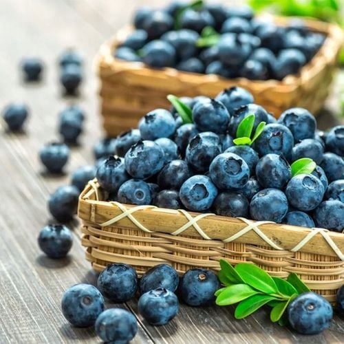 ZIEMIA PODŁOŻE DO BORÓWKI Z NAWOZEM KWAŚNA TORF ROŚLIN KWASOLUBNYCH na Arena.pl