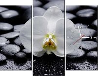 90CM 70 ZEGAR 3 ELEM BIAŁY STORCZYK SCIENNY DRUK