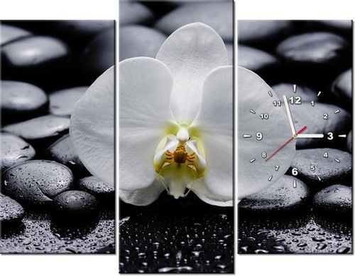 90CM 70 ZEGAR 3 ELEM BIAŁY STORCZYK SCIENNY DRUK na Arena.pl