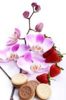 FOTOTAPETA kuchenna STORCZYK CIASTKA TRUSKAWKI