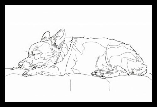 Plakat 30x20cm Śpiący Psiak na Arena.pl