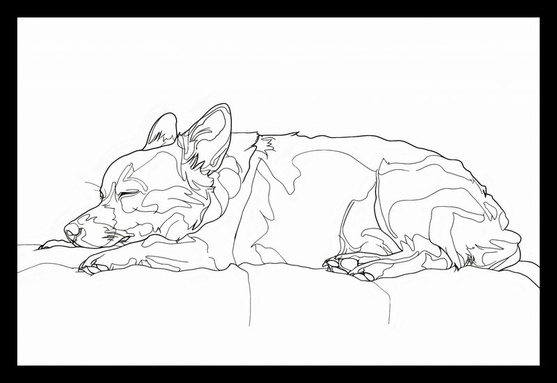 Plakat 30x20cm Śpiący Psiak zdjęcie 2