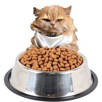 MISKA Miseczka DLA PSA KOTA ANTYPOŚLIZGOWA 1,5L