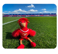 Podkładka pod myszkę Widzew Łódź