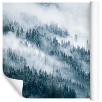 Fototapeta Las we Mgle Śnieg ZIMA do Salonu 450x300
